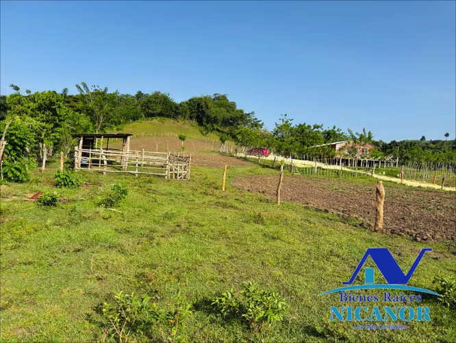 Finca de 278 tareas en venta en puerto plata 