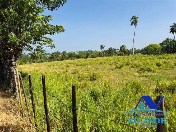 Finca de 1,010 tareas en venta 