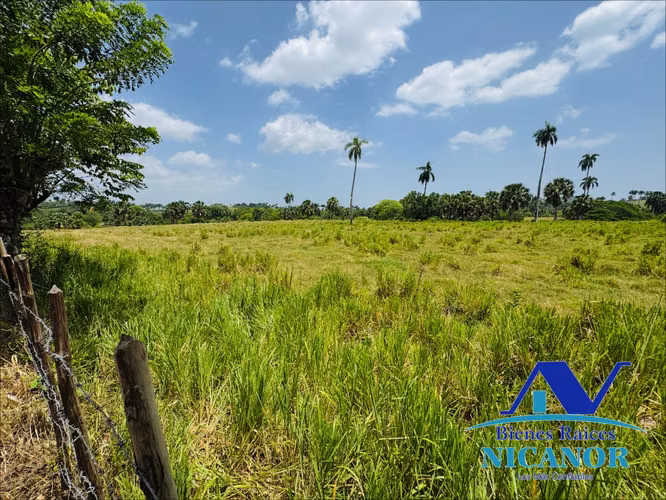 Finca de 1,010 tareas en venta 