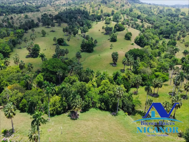 Finca de 1,010 tareas en venta 