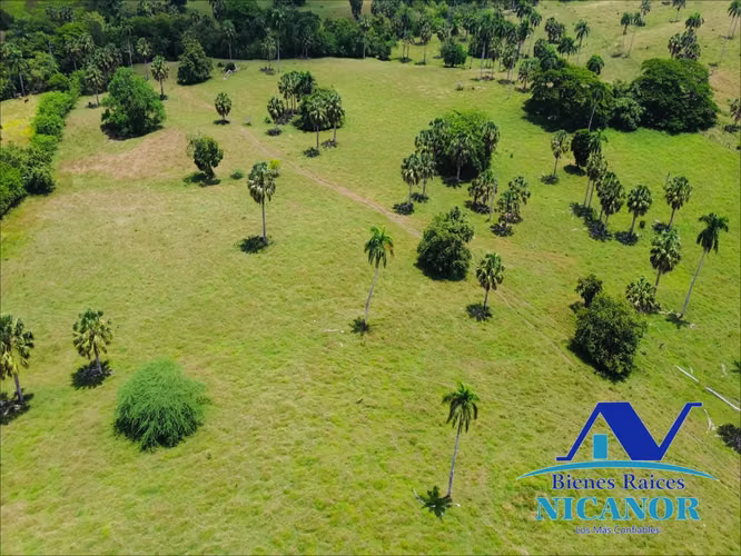 Finca de 1,010 tareas en venta 