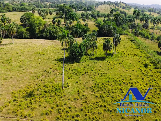 Finca de 1,010 tareas en venta 