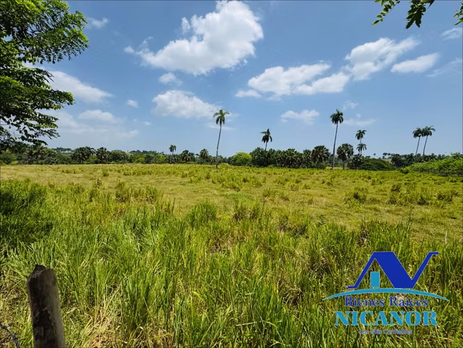 Finca de 1,010 tareas en venta 