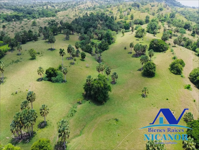 Finca de 1,010 tareas en venta 