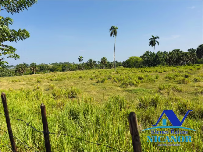 Finca de 1,010 tareas en venta 