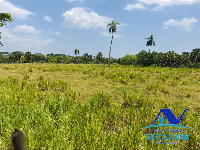 Finca de 1,010 tareas en venta 