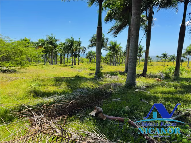 Terreno en venta de 3,000 en adelante con vista al mar en puerto plata - Imagen 4