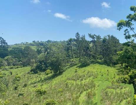 Vendo 243,000 Mts.2 en 3 Terrenos, BUENA VISTA, JARABACOA, Cerca del RAQUET CLUB - Imagen 4
