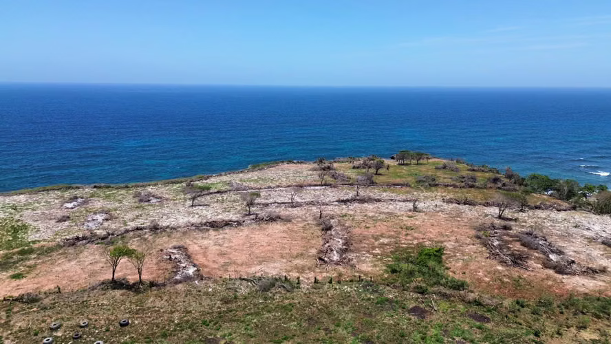 Terreno en venta frente al mar caribe / San Cristóbal   - Imagen 2