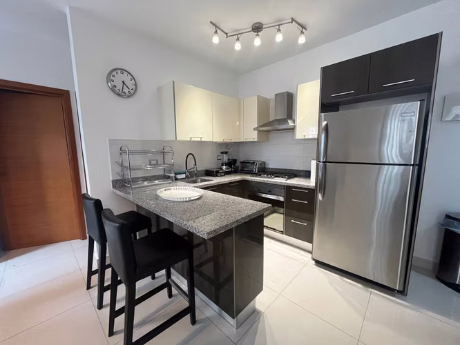 Apartamento en Alquiler en Piantini Amueblado de UNA Habitación - Imagen 6