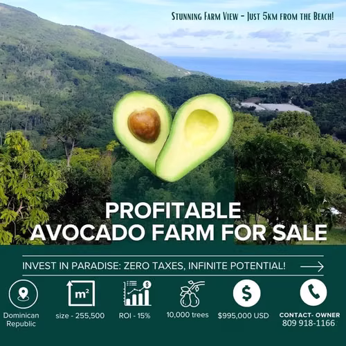 Vendo Finca de AGUACATE en Paraíso, BARAHONA, 255,600 Mts.2, VISTA AL MAR (en Producción) - Imagen 9