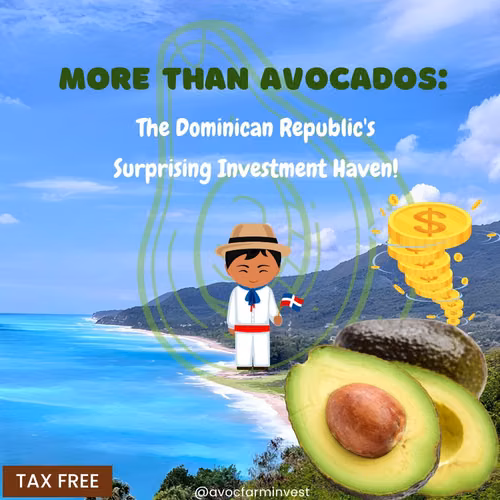 Vendo Finca de AGUACATE en Paraíso, BARAHONA, 255,600 Mts.2, VISTA AL MAR (en Producción) - Imagen 5