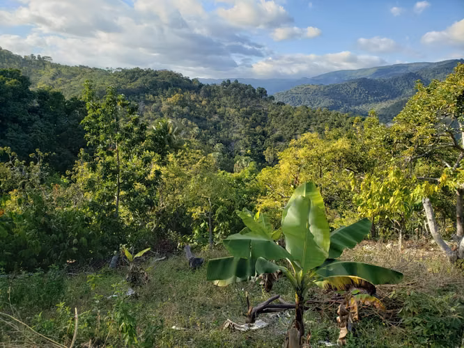 Vendo Finca de AGUACATE en Paraíso, BARAHONA, 255,600 Mts.2, VISTA AL MAR (en Producción) - Imagen 2