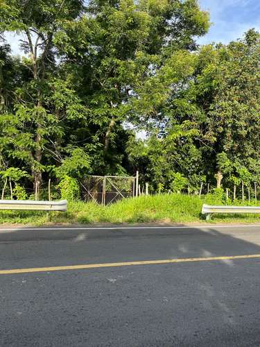 Terreno Finca Hato Mayor 