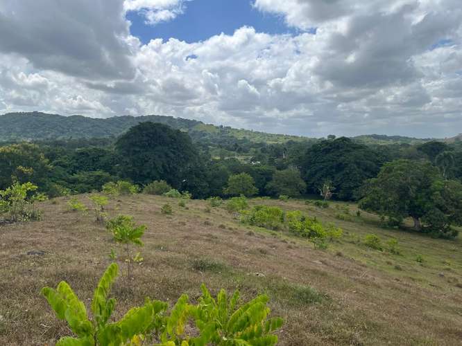 Terreno Finca Hato Mayor 