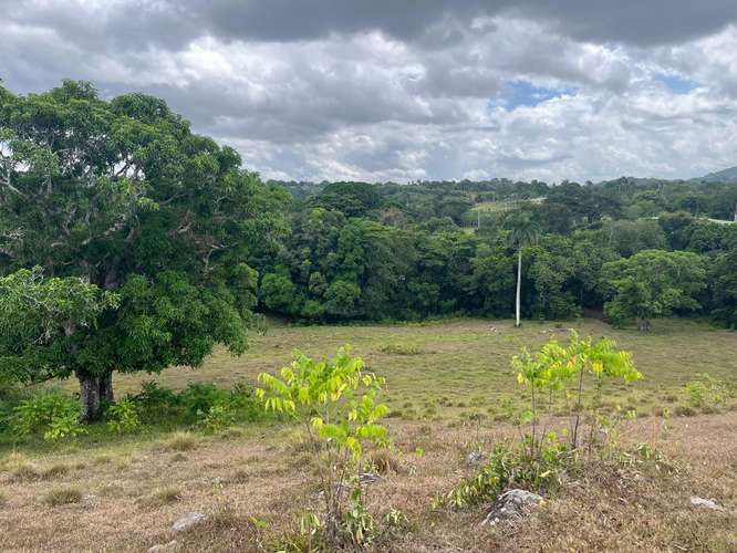 Terreno Finca Hato Mayor 