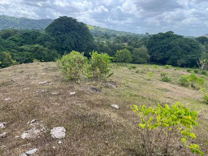 Terreno Finca Hato Mayor 