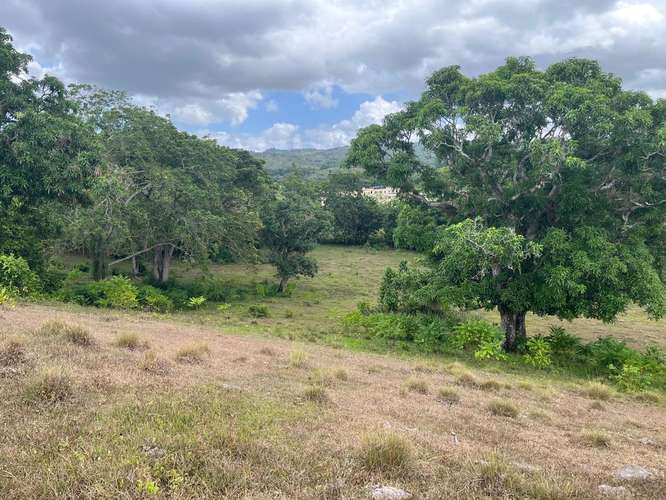 Terreno Finca Hato Mayor 