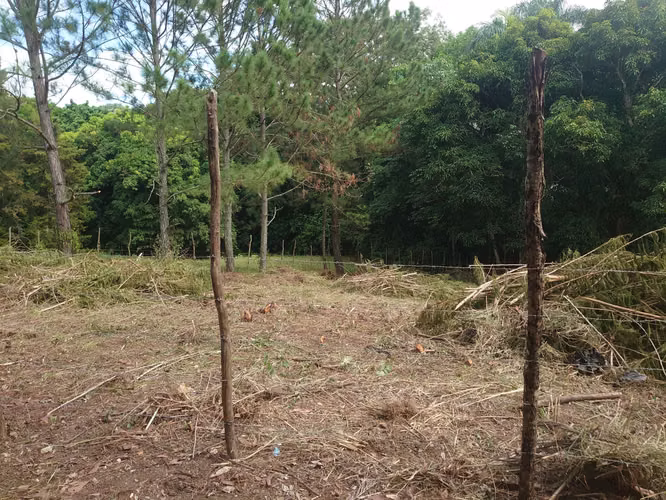 SOLAR EN VENTA EN JARABACOA