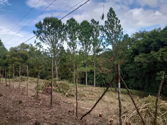 SOLAR EN VENTA EN JARABACOA
