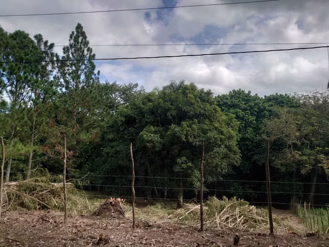 SOLAR EN VENTA EN JARABACOA