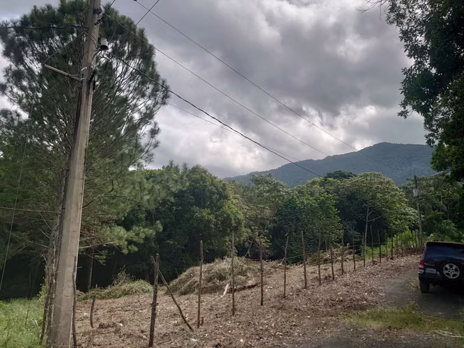 SOLAR EN VENTA EN JARABACOA