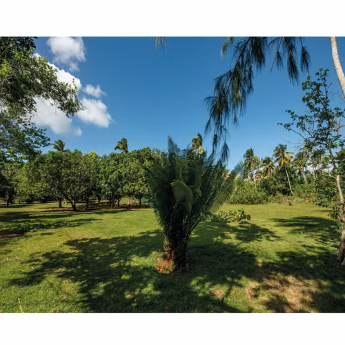 VENTA DE AMPLIO TERRENO EN LO MEJOR DE LAS GALERAS SAMANÁ
