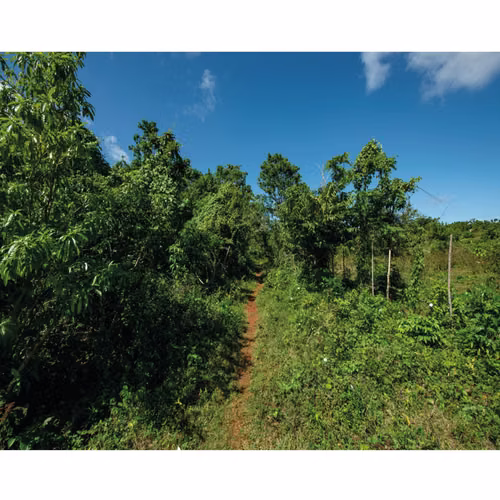 VENTA DE AMPLIO TERRENO EN LO MEJOR DE LAS GALERAS SAMANÁ