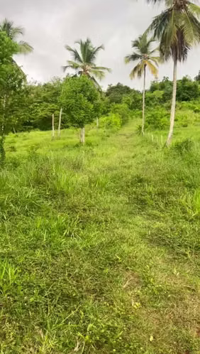 TERRENO EN VENTA | CARRETERA SAMANLAS GALERAS - Imagen 2