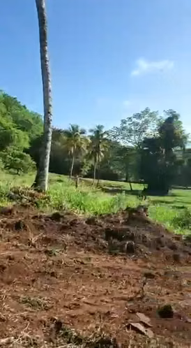 TERRENO EN VENTA | CARRETERA SAMANLAS GALERAS - Imagen 3