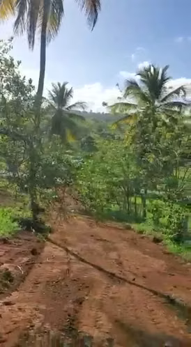 TERRENO EN VENTA | CARRETERA SAMANLAS GALERAS - Imagen 1