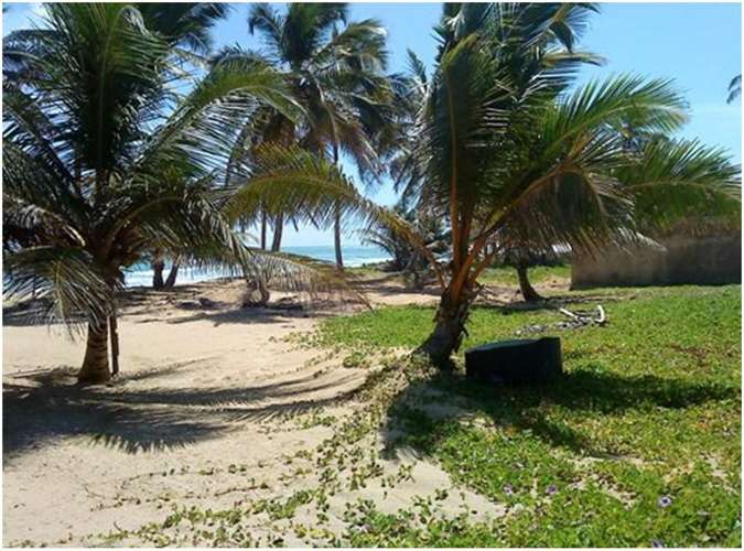 Vendo 12 MILLONES DE Mts.2 CON PLAYA en UVERO ALTO en 4 PORCIONES - Imagen 5
