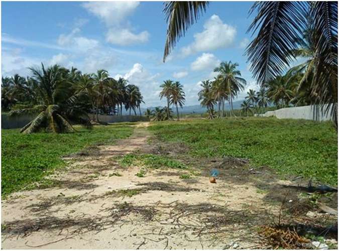 Vendo 12 MILLONES DE Mts.2 CON PLAYA en UVERO ALTO en 4 PORCIONES - Imagen 3