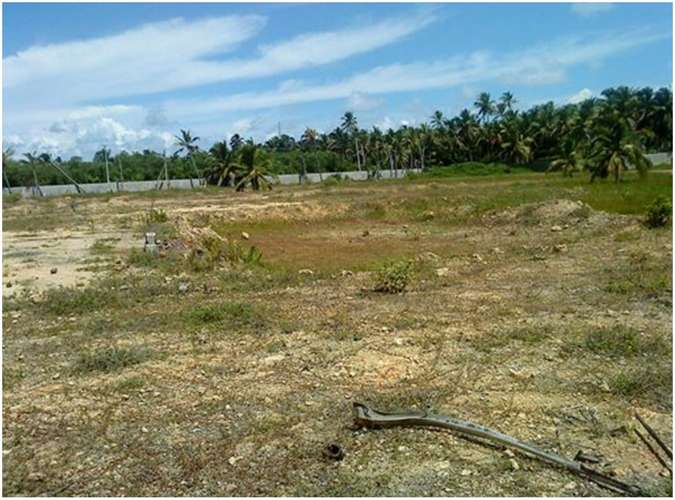 Vendo 12 MILLONES DE Mts.2 CON PLAYA en UVERO ALTO en 4 PORCIONES - Imagen 4