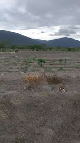 525 TERRENO EN CABRAL, BÁRAHONA