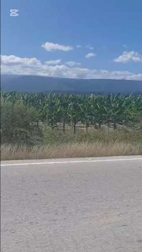 525 TERRENO EN CABRAL, BÁRAHONA