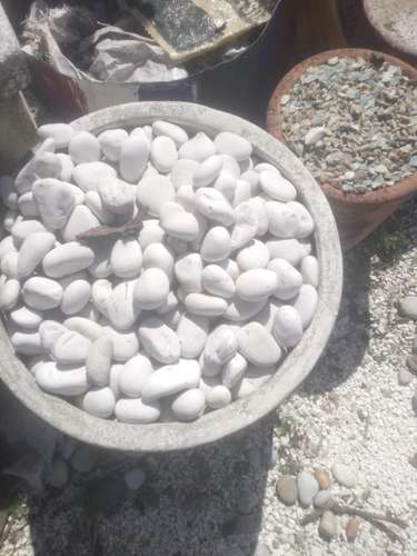 piedras blancas