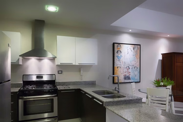 Apartamento en Alquiler en Piantini Amueblado de UNA Habitación - Imagen 5