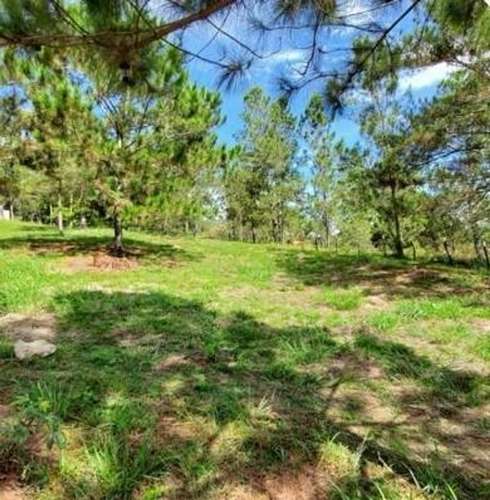 Venta Lotes desde en Jarabacoa La Vega - Imagen 3