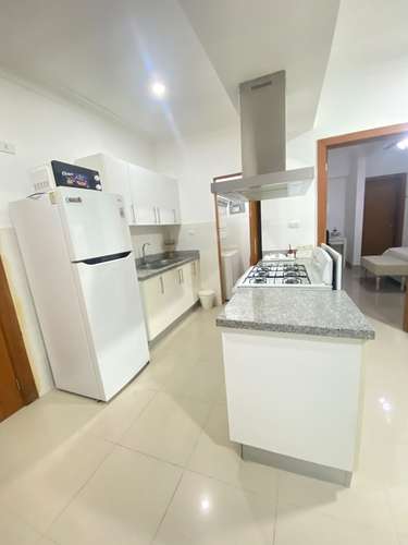 Alquilo Apartamento amueblado, 1 Habitación, Evaristo Morales - Imagen 2