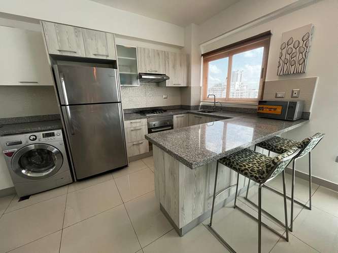 Apartamento en Alquiler en Piantini Amueblado de UNA Habitación - Imagen 5
