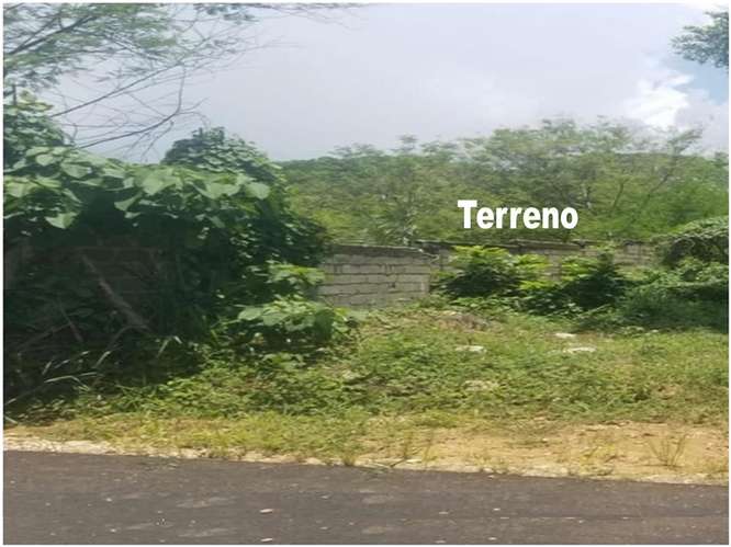 Vendo 10,367 Mts.2 KM. 18, Aut. DUARTE,  PARQUE INDUSTRIAL CAYACOA, a 200 Mts. Autopista, calle Asfaltada - Imagen 2