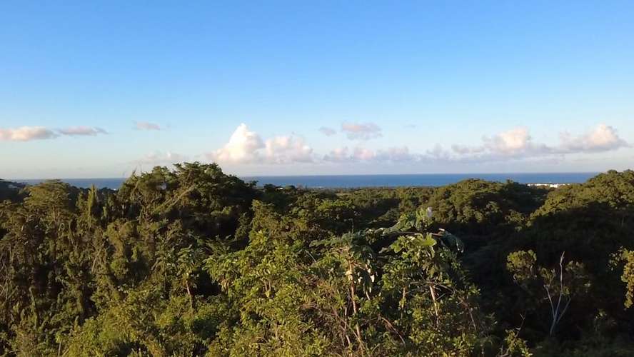 Terrenos en venta  - Imagen 3