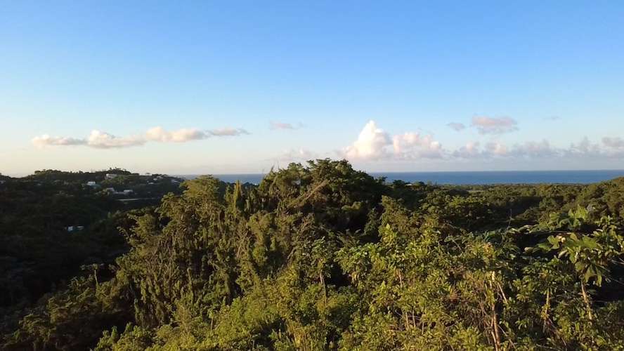Terrenos en venta  - Imagen 4