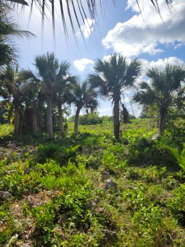  VENDO TERRENO FRENTE AL MAR EN REPÚBLICA DOMINICANA    Ubicación: Boca de Yuma, Higüey, Provincia La Altagracia, 