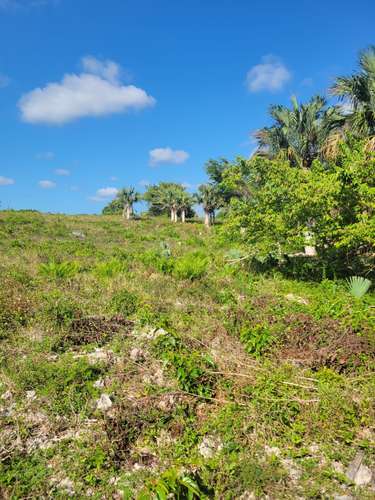  VENDO TERRENO FRENTE AL MAR EN REPÚBLICA DOMINICANA    Ubicación: Boca de Yuma, Higüey, Provincia La Altagracia, 