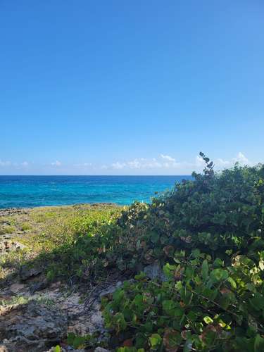  VENDO TERRENO FRENTE AL MAR EN REPÚBLICA DOMINICANA    Ubicación: Boca de Yuma, Higüey, Provincia La Altagracia, 