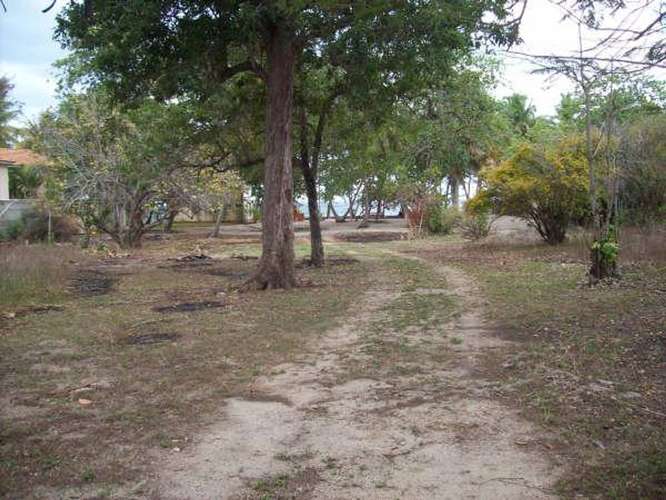 Terreno en primera línea de Playa - Imagen 3