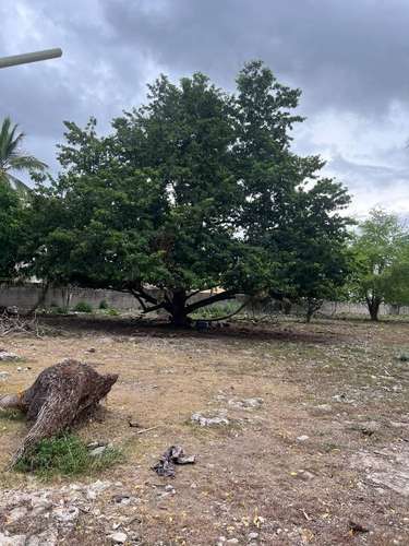 Terreno cerca del Aeropuerto Las Americas - Imagen 2