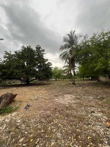 Terreno cerca del Aeropuerto Las Americas - Imagen 4